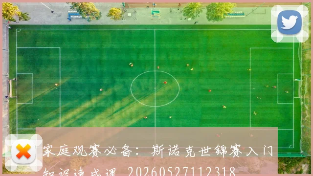 家庭观赛必备：斯诺克世锦赛入门知识速成课_20260527112318