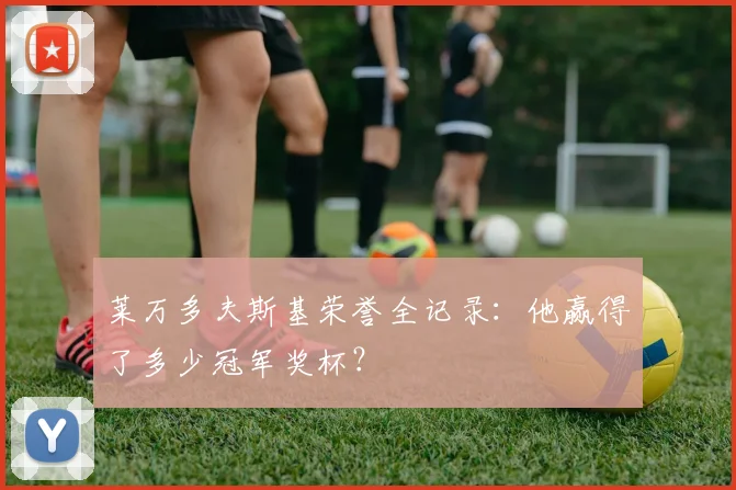 莱万多夫斯基荣誉全记录：他赢得了多少冠军奖杯？